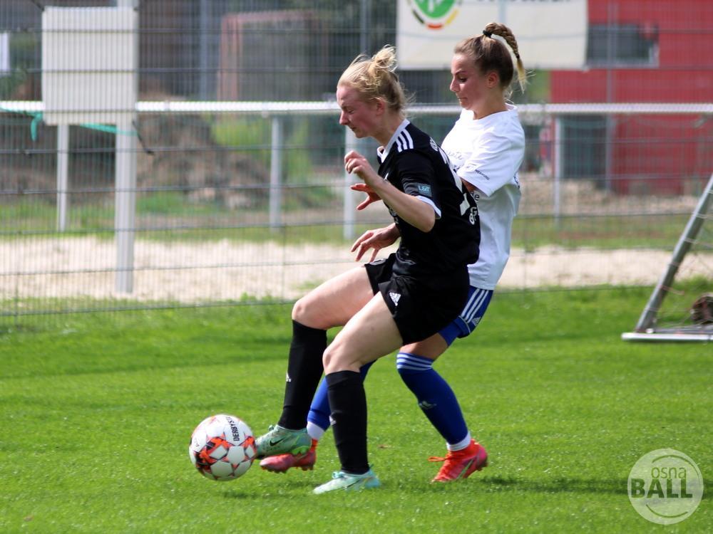 OSC2-0Hollage-30