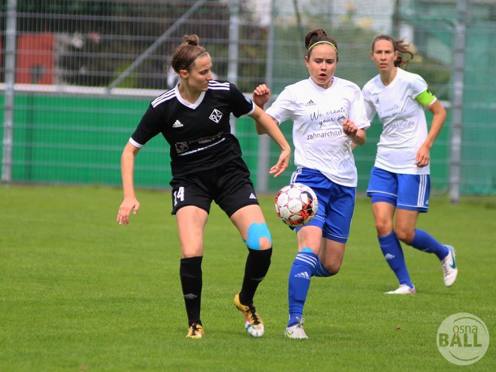 OSC2-0Hollage-5