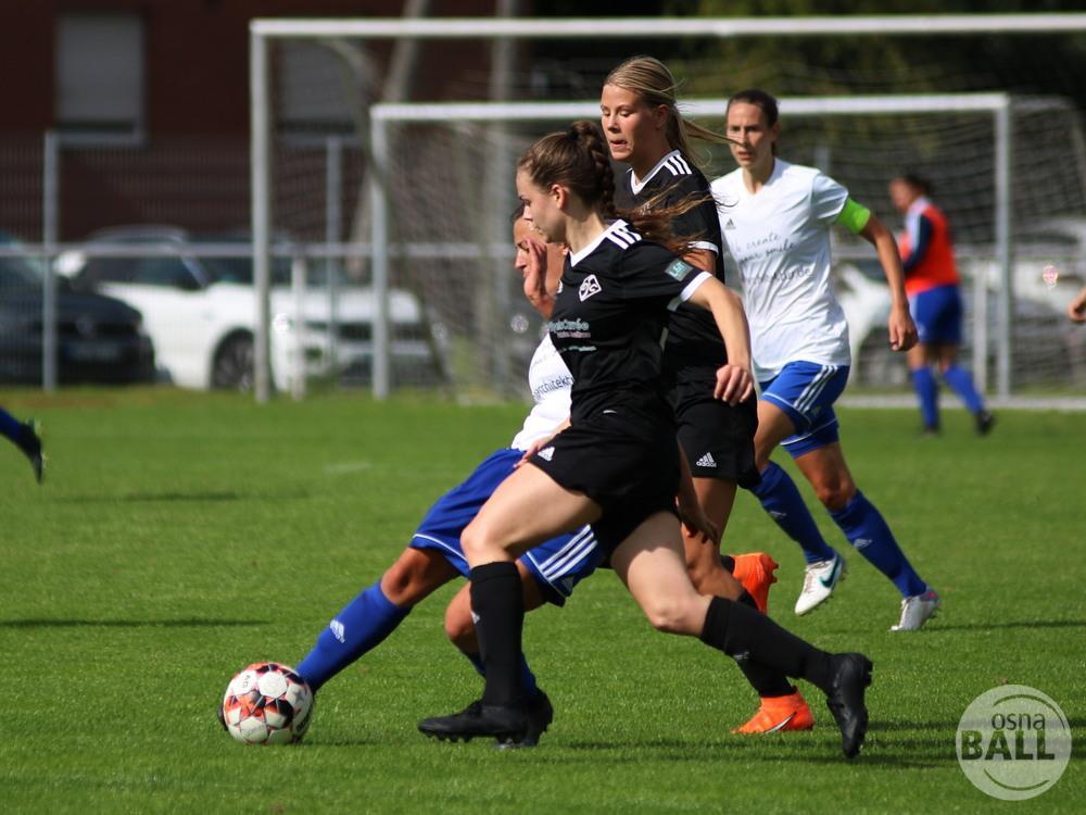 OSC2-0Hollage-60