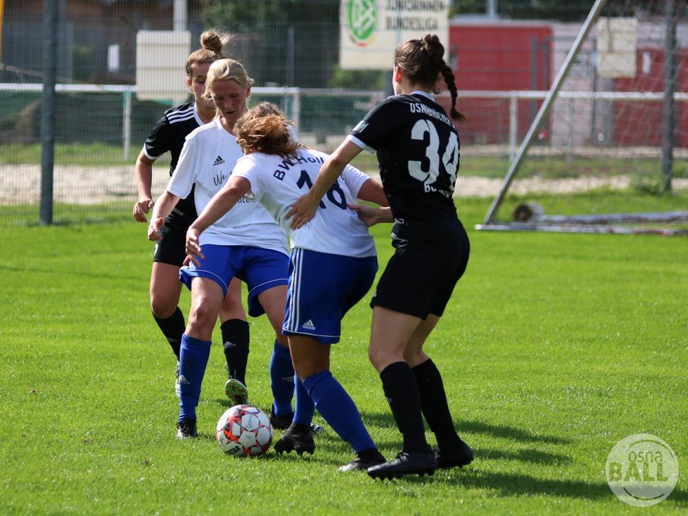 OSC2-0Hollage-68