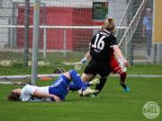 OSC2-0Hollage-11