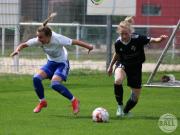OSC2-0Hollage-14