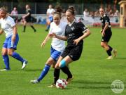 OSC2-0Hollage-17