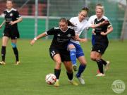 OSC2-0Hollage-21