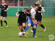 OSC2-0Hollage-22