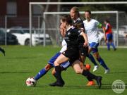 OSC2-0Hollage-60
