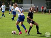 OSC2-0Hollage-64