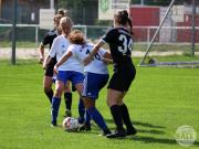 OSC2-0Hollage-68
