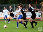 OSC2-0Hollage-75