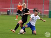 OSC2-0Hollage-8