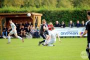 IMG6531