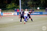 IMG6917