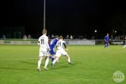 IMG7919