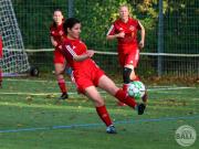OSC-III-2-6-Holzhausen-Nahne-13