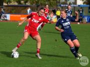 Gretesch0-2Aurich-13