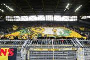 3-liga-borussia-dortmund-sg-dynamo-dresden-3