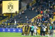 3-liga-borussia-dortmund-sg-dynamo-dresden-78