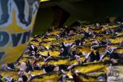 3-liga-borussia-dortmund-sg-dynamo-dresden-87