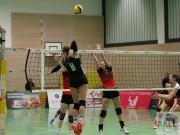volleyball-vc-osnabrck-spelle-venhaus-2