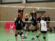 volleyball-vc-osnabrck-spelle-venhaus-4