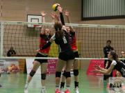 volleyball-vc-osnabrck-spelle-venhaus-5