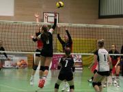 volleyball-vc-osnabrck-spelle-venhaus-6