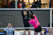 volleyball-bad-laer-bayer-leverkusen-37