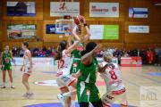 dbbl-basketball-osc-panthers-keltern-24