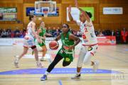 dbbl-basketball-osc-panthers-keltern-29