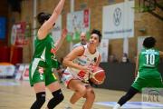 dbbl-basketball-osc-panthers-keltern-38