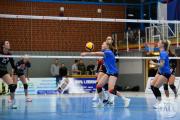 volleyball-sv-bad-laer-tv-cloppenburg-195