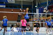 volleyball-sv-bad-laer-tv-cloppenburg-216