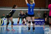 volleyball-sv-bad-laer-tv-cloppenburg-265