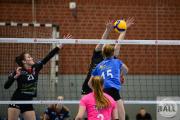 volleyball-sv-bad-laer-tv-cloppenburg-391