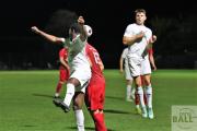 tsv-wallenhorst-gruen-weiss-muehlen--31-