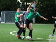 gretesch-1-4-raspoii--11-