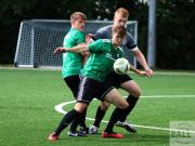 gretesch-1-4-raspoii--12-