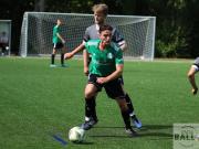 gretesch-1-4-raspoii--15-