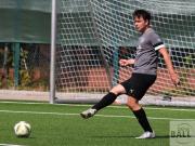 gretesch-1-4-raspoii--18-