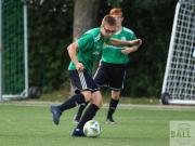 gretesch-1-4-raspoii--24-