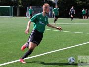 gretesch-1-4-raspoii--31-