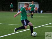 gretesch-1-4-raspoii--43-