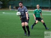 gretesch-1-4-raspoii--45-