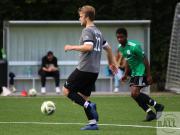 gretesch-1-4-raspoii--46-