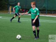 gretesch-1-4-raspoii--47-