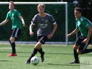 gretesch-1-4-raspoii--50-