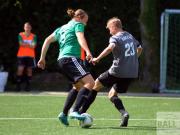 gretesch-1-4-raspoii--59-