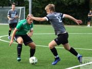 gretesch-1-4-raspoii--6-