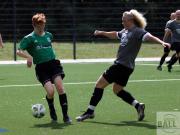 gretesch-1-4-raspoii--64-