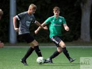 gretesch-1-4-raspoii--67-